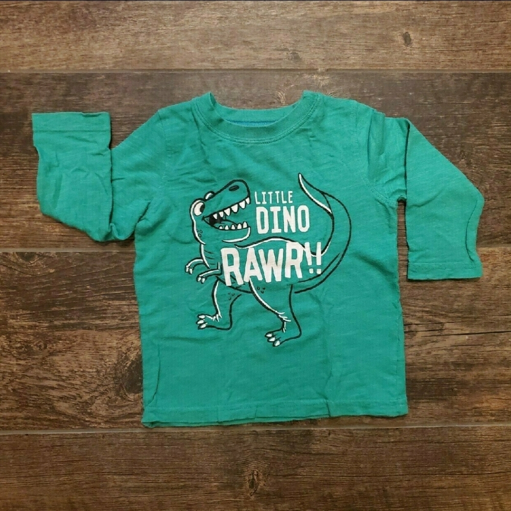 3/$15 Dino Shirt